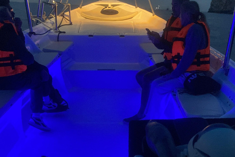 Los Cabos: Whale Watching and Safari