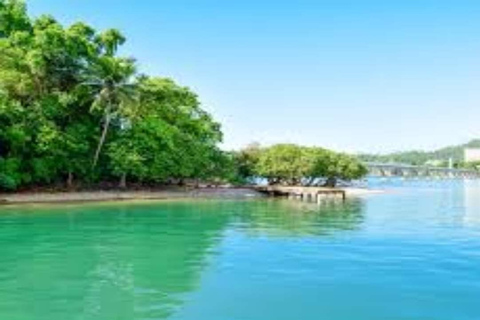 Punta Cana: Samaná Peninsula & Cayo Levantado Day Trip