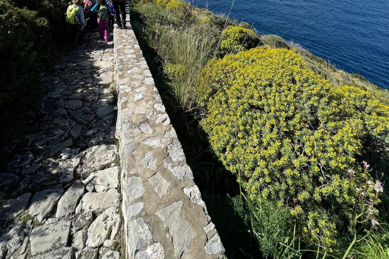 SORRENTO AMALFI COAST: TREKKING AND OVERNIGHT IN NERANO BAY BAY OF NERANO: hiking guide trekking and overnight in Nerano