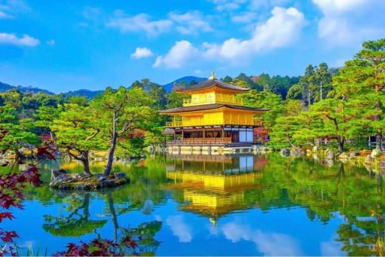 Tokyo: Kyoto & Nara Private Tour with Hotel Pickup