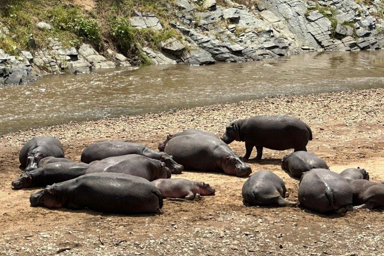 Von Nairobi aus: 3-tägige kenianische Safari im Nakuru Mara National ParkVon Nairobi: 3-tägige Nakuru Mara Nationalpark Kenia Safari