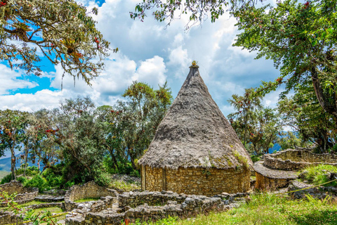 Depuis Chachapoyas : Forteresse de Kuelap et téléphérique