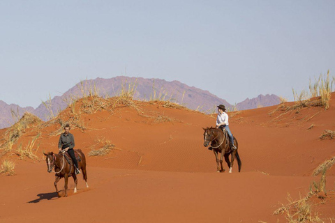 From Windhoek: 6-Day Namibia Safari with Lodging & Meals