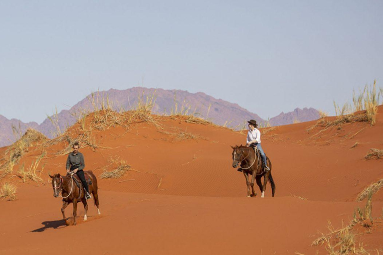 From Windhoek: 6-Day Namibia Safari with Lodging & Meals