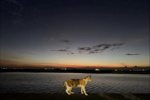 Manila: Bay Sunset Walk & Stories of the Historic Coast