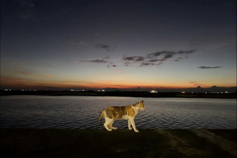 Manila: Bay Sunset Walk & Stories of the Historic Coast