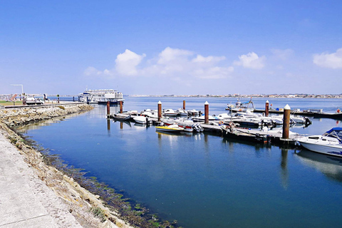 De Porto à Lisbonne avec Aveiro-Coimbra-Fátima-Nazaré-ÓbidosMINIBUS (9-19 PAX) AVEC 3 ARRÊTS