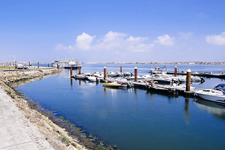 Porto to Lisbon with Aveiro-Coimbra-Fátima-Nazaré-Óbidos MINIBUS (9-19 PAX) WITH 3 STOPS