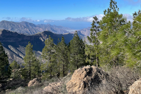 Gran Canaria: Roque Nublo Excursion Gran Canaria: a trip to Roque Nublo