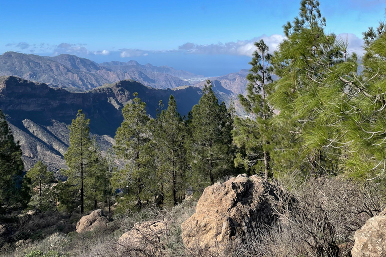 Gran Canaria: Roque Nublo Excursion Gran Canaria: a trip to Roque Nublo