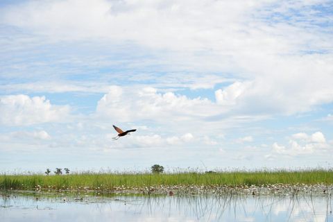 Tour de día completo en Mokoro por el Okavango
