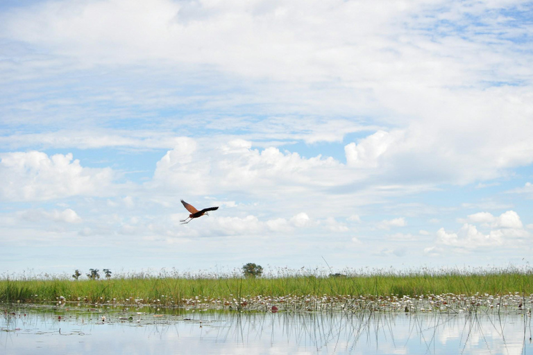 Tour de día completo en Mokoro por el Okavango