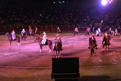 Lima : Dîner buffet, spectacle de danse : Chevaux de Paso péruvien :