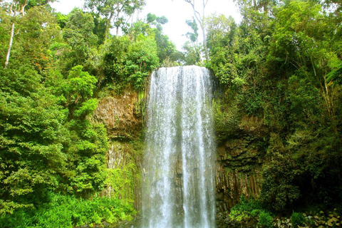 Colombo: Digana Waterfall Swim & Village Walk & Tea Factory