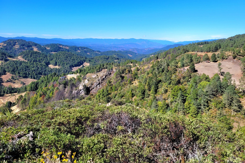 Oaxaca: Sierra Norte Ixtepeji Guided Hike & Lunch, Half-Day