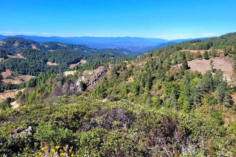 Oaxaca: Sierra Norte Ixtepeji Guided Hike & Lunch, Half-Day