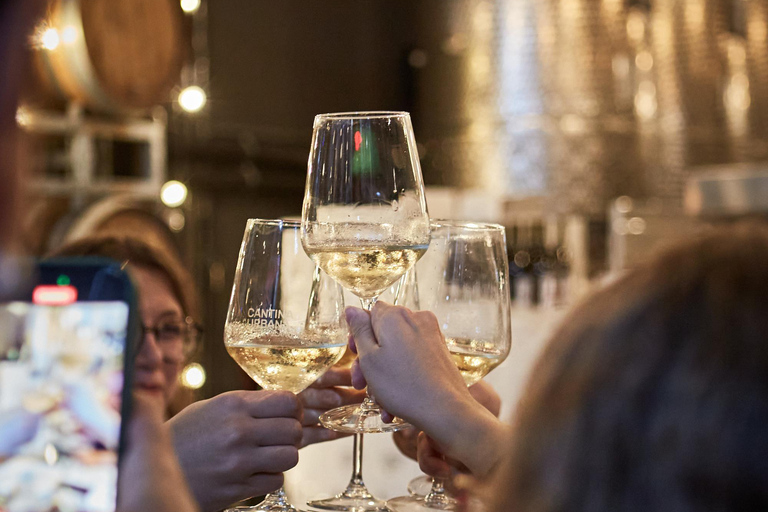 Milano: Esperienza per gli amanti del vino presso la Cantina Urbana