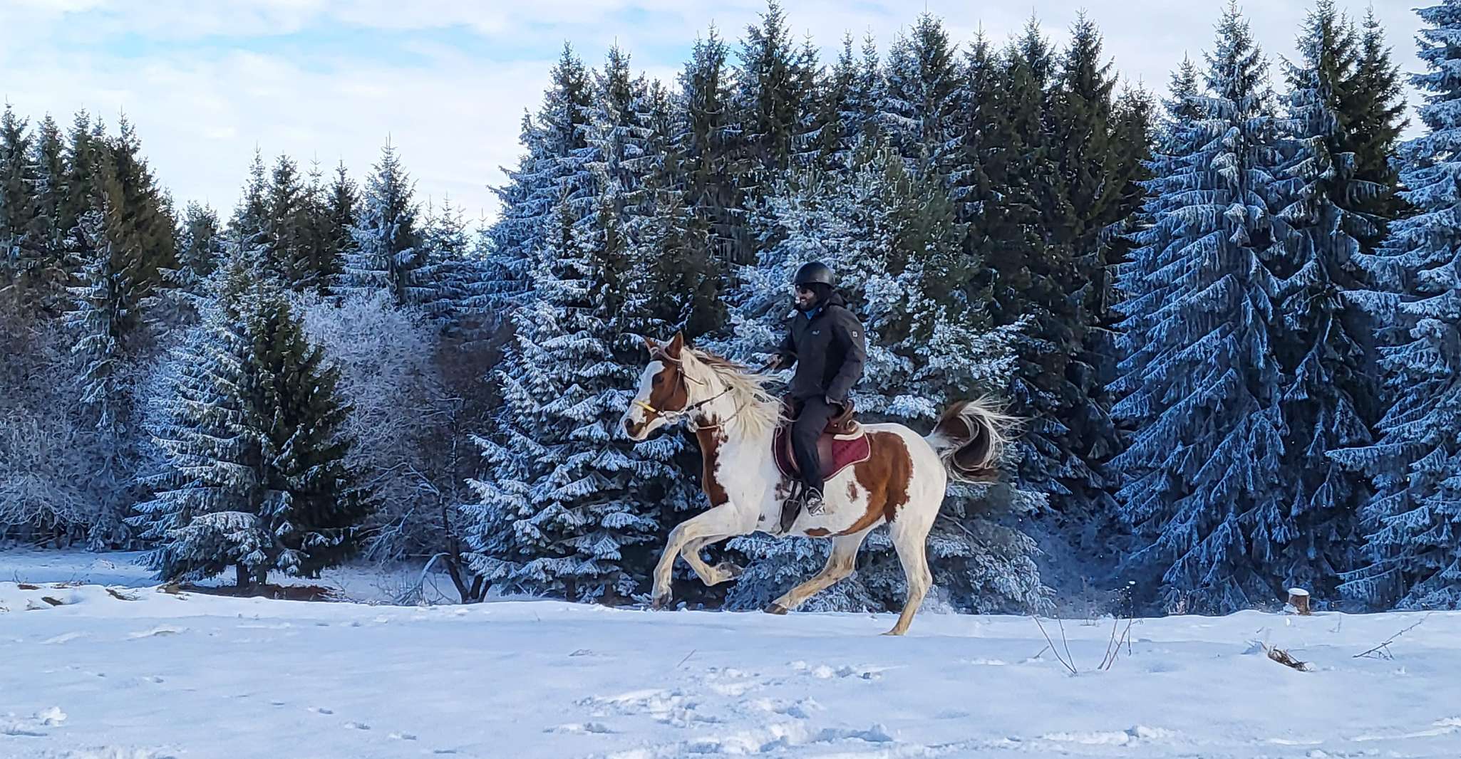 Horse Riding Day Trip in the Rila Mountain - Housity