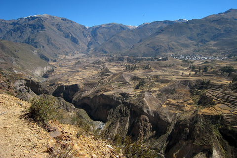 da Cabanaconde: trasporto da Cabanaconde ad Arequipa.