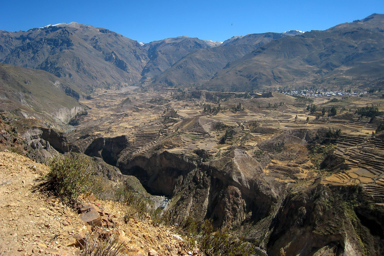 da Cabanaconde: trasporto da Cabanaconde ad Arequipa.