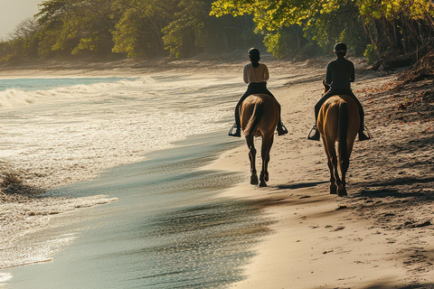 Saint John: Coastal Countryside Horseback Adventure