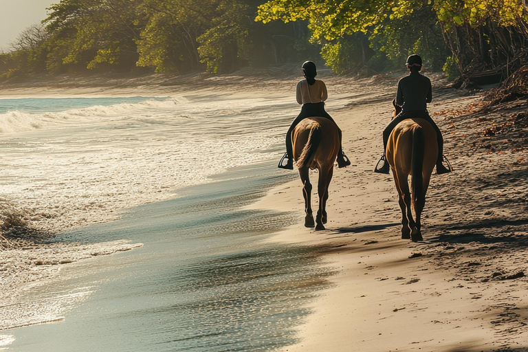 Saint John: Coastal Countryside Horseback Adventure
