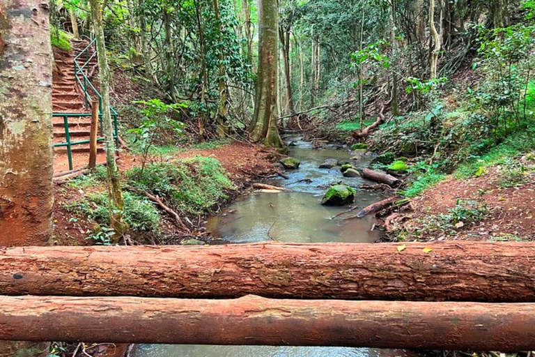 Nairobi: Karura Forest Storytelling & Mau Mau Heritage Walk