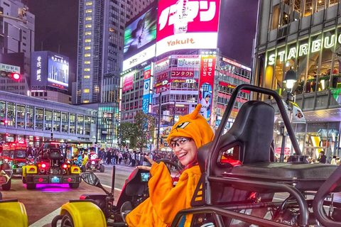 Tokyo: Shibuya & Tokyo Landmarks Guided Drive Tokyo Shibuya Night Drive Experience