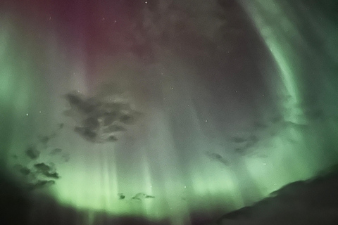 Tromsø: recorrido en busca de la aurora boreal con aperitivos y bebidas