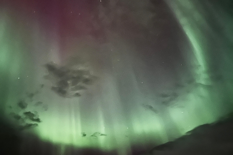 Tromsø: Noorderlicht achtervolging met hapjes en drankjes