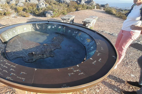 Cidade do Cabo: Table Mountain e Parque dos Grandes Gatos de Stellenbosch