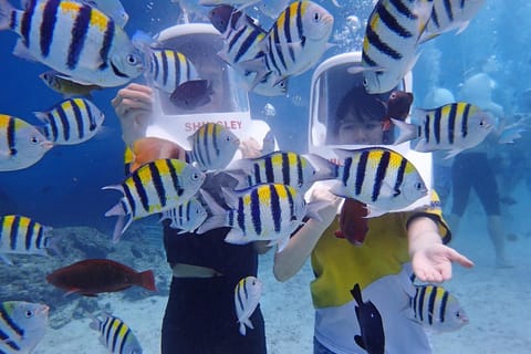 Boracay: Aquanaut Adventure with Photos and Videos - Image 2