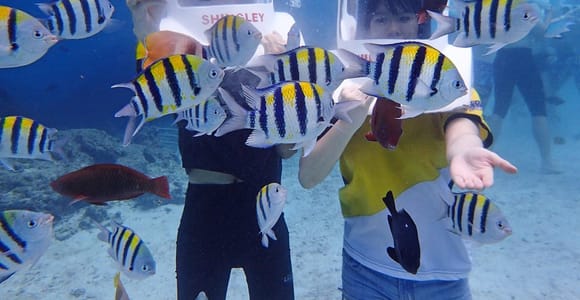 Boracay: Aquanaut Adventure with Photos and Videos