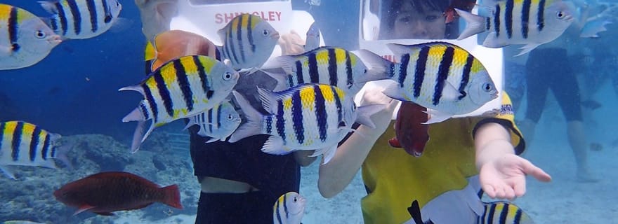 Boracay : Aventure de l'aquanaute avec photos et vidéos