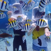 Boracay: Aquanaut Adventure with Photos and Videos Boracay: Aquanaut Adventure with Photos and Videos