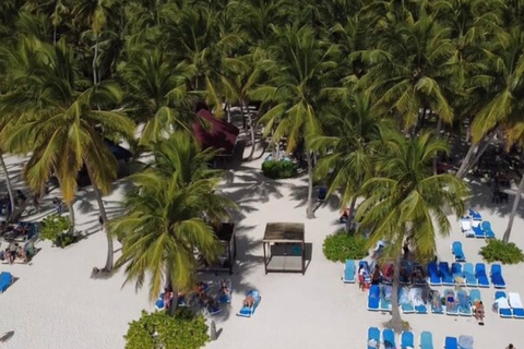 Private: Exclusive Saona Island VIP Speedboat Excursion