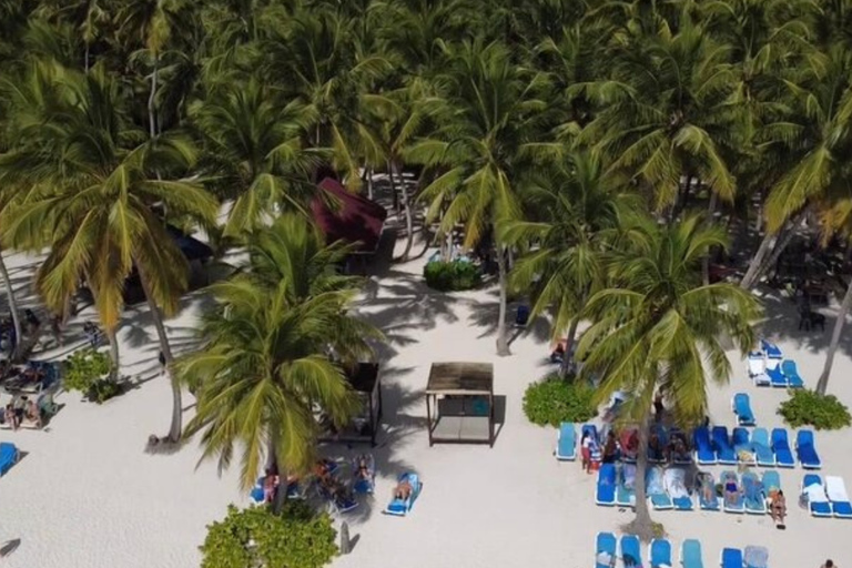 Private: Exclusive Saona Island VIP Speedboat Excursion