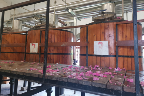 2026 Kazanlak Rose Festival Group Tour Accommodation in triple rooms