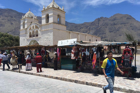 Aanbieding Prijs: Colca Canyon één dag in Arequipa met ontbijt