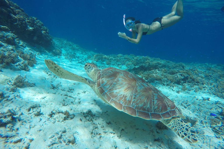 Excursión de un día a 5 Gilis Secretos: Layar,Rengit,Nanggu,Tangkong,Kedis