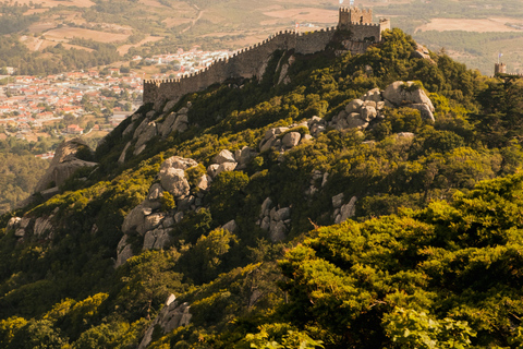 From Lisbon: Private Sintra, Peña palace & Regaleira Tour. Exclusive Private Tour Experience