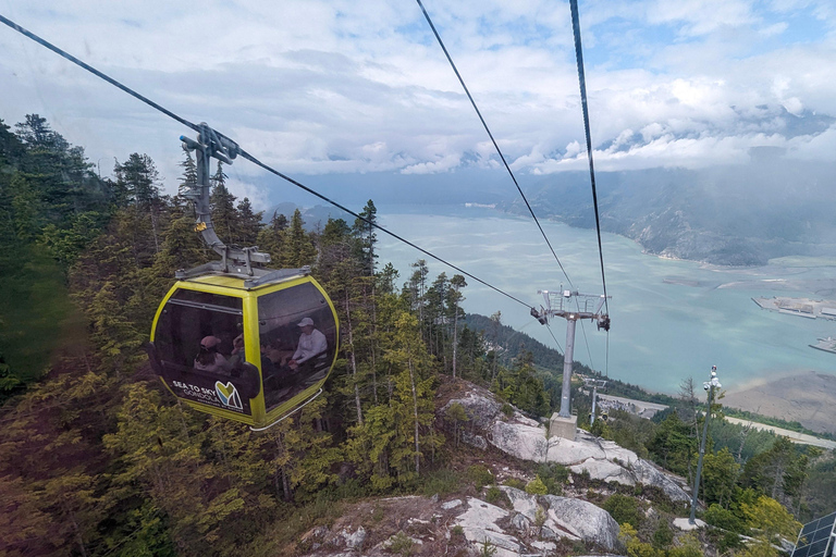 جولة ويسلر، جندول سي تو سكاي، شلال شانون وبحيرة جريناجعل جولتك خاصة