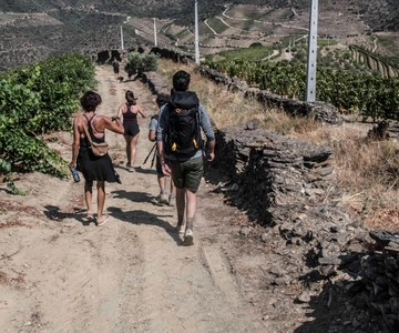 Pinhão: Excursión Guiada por el Valle del Duero