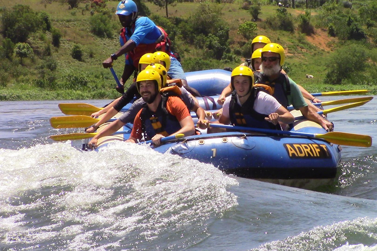 Grade 3 White water rafting on the Nile River