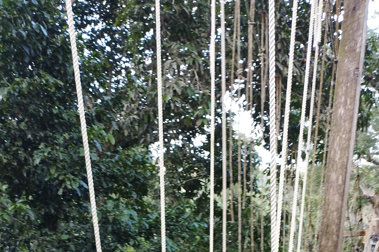 أكرا: جولة إرشادية لمدة 7 أيام للتعرف على التاريخ والتراث في غانا