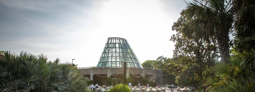 San Antonio : Billet d'entrée au jardin botanique