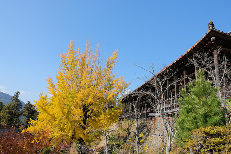 Hiroshima: UNESCO Miyajima and Atomic bomb dome Guided Tour Hiroshima: UNESCO Miyajima & Atomic Bomb Dome Guide Tour