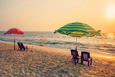 From Chennai: 12-Day Private Tour to Cochin with 3-Star Stay Chennai to Cochin 12 Days Private Tour with 3* Hotels