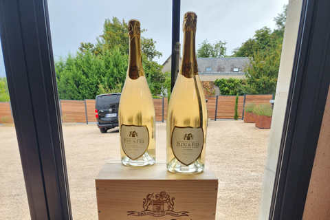 Loire Valley Wine Tour from Paris: 2 Wineries & 10 Tastings Premium Option