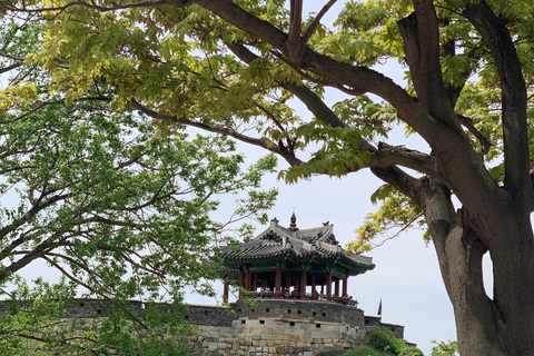 Seul: passeio histórico e gastronómico por Suwon com chá e sobremesa reais